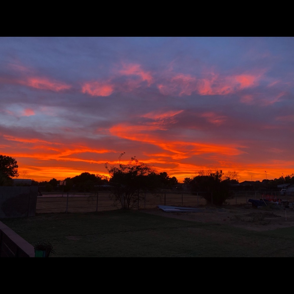 Meet your Posher, Trinitee